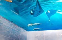 Натяжной потолок с фотопечатью Подводный мир